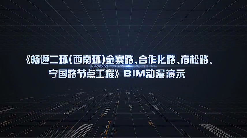 《畅通二环（西南环）金寨路、合作化路、宿松路、宁国路节点工程》